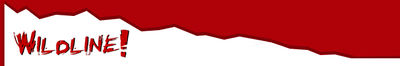 Logo-wildlinecorp-com.jpg