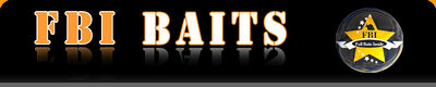 Logo-fbibaits-com.jpg
