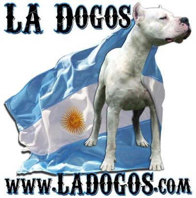 Logo-ladogos-com.jpg