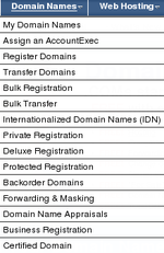 TheNetworkSource DomainNamesDropdown.png