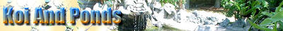 Logo-koiandponds-com.jpg
