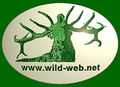 Thumbnail for version as of 19:19, 21 June 2006