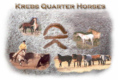 Logo-krebsquarterhorses-com.jpg