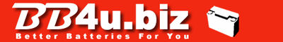 Logo-bb4u-biz.jpg
