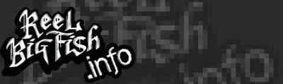 Logo-reelbigfish-info.jpg