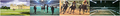 Thumbnail for version as of 15:56, 21 July 2009