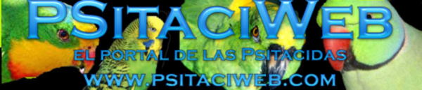 Logo-psitaciweb-com.png