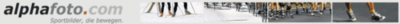 Logo-alphafoto-com.gif