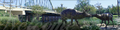 Thumbnail for version as of 18:23, 10 August 2010