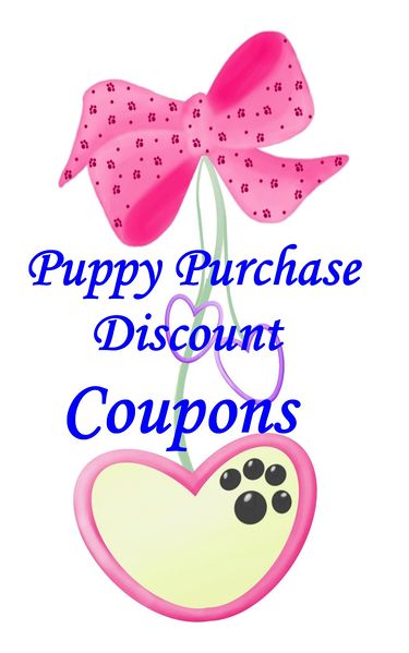 File:Logo-teacupandtoypetsboutique-com.jpg
