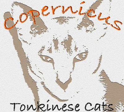 Logo-e-tonks-co-uk.jpg