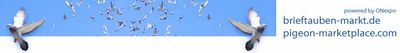 Logo-brieftauben-markt-de.jpg
