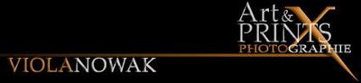 Logo-art-and-prints-de.jpg