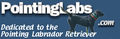 Thumbnail for version as of 07:23, 21 June 2006