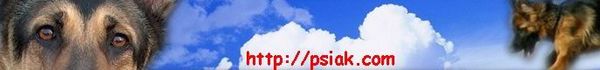 Logo-psiak-com.jpg