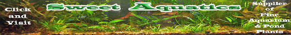 Logo-aquariumnation-com.png