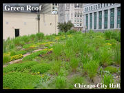 Chicagocityhall greenroof.jpg