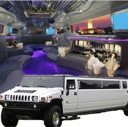 virginia limousine service stretch hummer h23.jpg