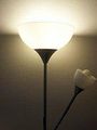 Thumbnail for version as of 05:03, 8 April 2010