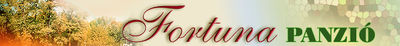 Logo-fortuna-panzio-hu.jpg