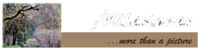 Logo-milestonetoremember-com.png