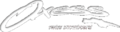 Thumbnail for version as of 05:52, 21 June 2006