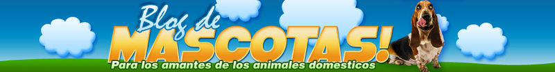 File:Logo-blogdemascotas-com.jpg
