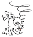 Thumbnail for version as of 17:29, 24 May 2010