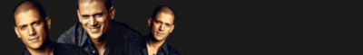 Logo-wentworth-miller-fanclub-de.gif