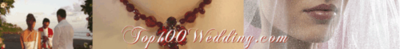 Logo-top100wedding-com.gif