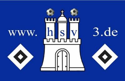 Logo-hsv3-de.jpg