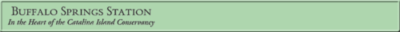 Logo-buffalospringsstation-com.gif