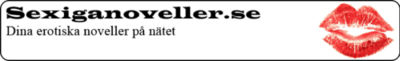 Logo-sexiganoveller-se.gif