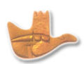 Thumbnail for version as of 14:05, 21 June 2006