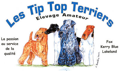 Logo-tiptop-terriers-com.jpg