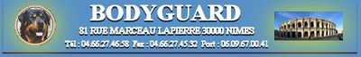 Logo-bodyguard-nimes-com.jpg
