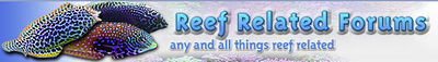Logo-reefrelated-com.jpg