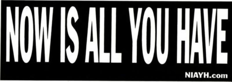 File:NowIsAllYouHave.jpg