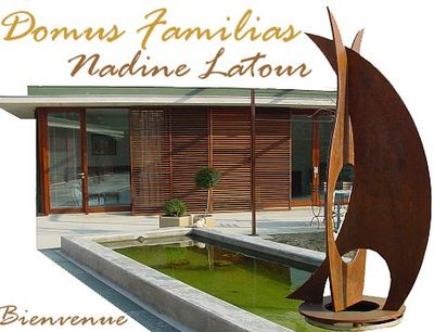 Logo-domus-familias-com.jpg