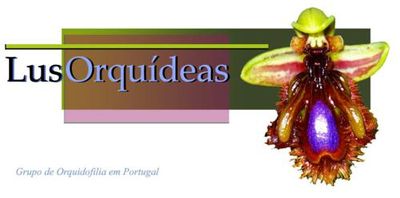 Logo-lusorquideas-org.jpg