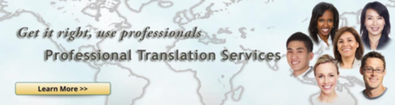 File:Professional Language Services.png