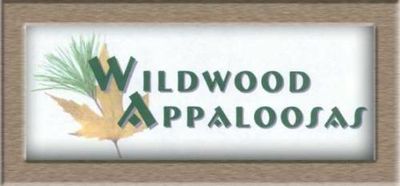 Logo-wildwoodappaloosas-com.jpg