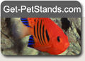 Thumbnail for version as of 18:17, 25 August 2008