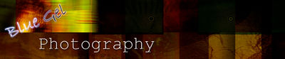 Logo-bluegelphotography-com.jpg