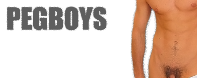 Logo-pegboys-net.png