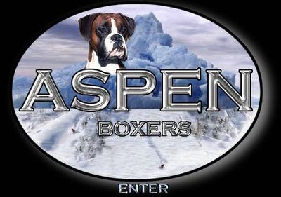 Logo-aspenboxers-com.jpg