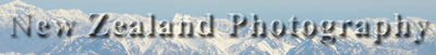 Logo-newzealandphotography-co-nz.jpg