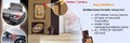 Thumbnail for version as of 14:22, 5 September 2013