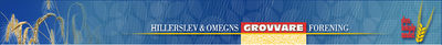Logo-hillerslevgv-dk.jpg