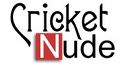 Thumbnail for version as of 03:20, 19 May 2007
